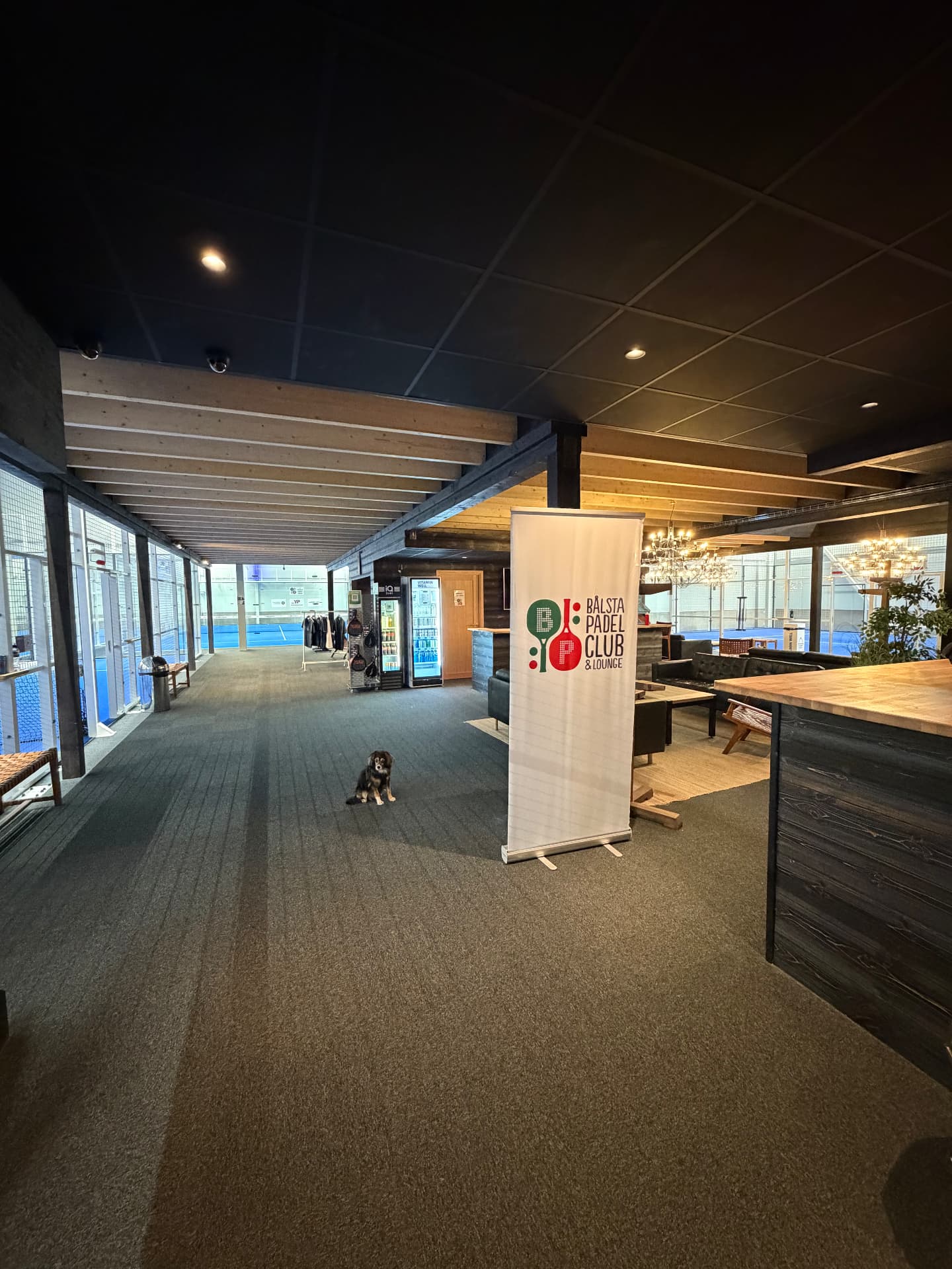Klubbens entré och lounge intill padelbanorna